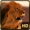 Angry Lion Wild Simulator