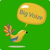 Big Voize