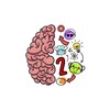 Brain Test 2