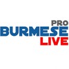 Burmese Live Pro