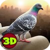 City Bird Pigeon Simulator 3D