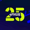 eFHUB 25