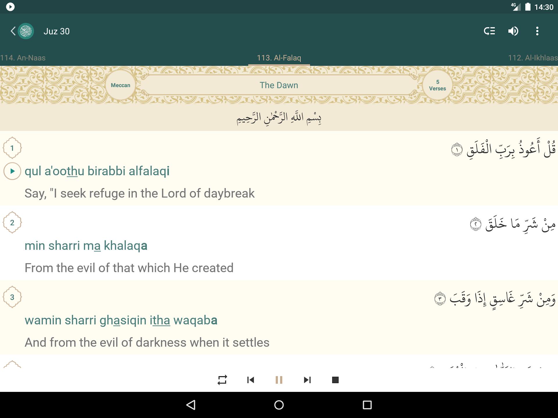 Screenshot image 11