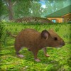 Mouse Simulator