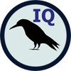 Raven IQ Test