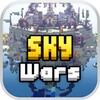 Sky Wars