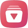 VidMint - Fast Video & Music Downloader