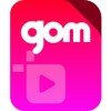 GOM Mix Pro