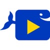 Video Downloader HD